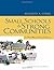 Small Schools and Strong Communities: A Third Way of School Reform Paperback – March 28, 2010
