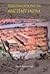 Fortifications in Ancient India by Umesh Kumar Singh