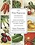 The Vilna Vegetarian Cookbo...