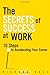 The Secrets of Success at Work: 10 Steps to Accelerating Your Career by Richard Hall (2012-05-21)