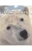 Polar Bears (Untamed World)