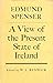 A view of the present state of Ireland;