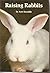 Raising Rabbits by Ann Kanable (1978-03-23)