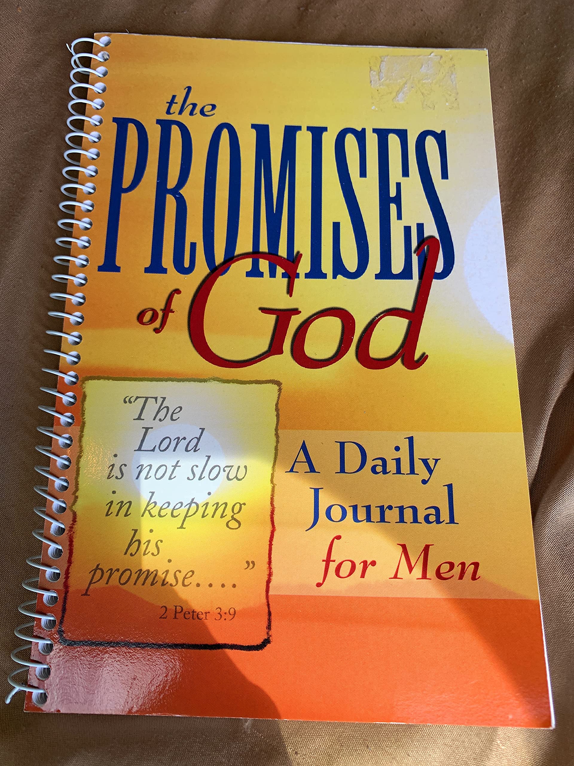The Promises of God: A Daily Journal for Men (Paperback)