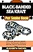 BLACK-BANDED SEA KRAIT Pet ...