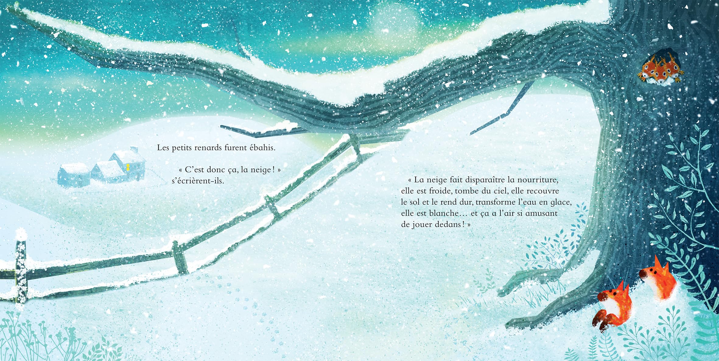 C'est quoi, la neige ? (Paperback)