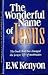 Wonderful Name Of Jesus