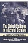 The Global Challenge to Industrial Districts: Small and Medium-sized Enterprises in Italy and Taiwan The Global Challenge to Industrial Districts: Small and Medium-sized Enterprises in Italy and Taiwan