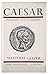 Caesar: politician and stat...