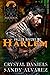Harlem: Fallen Ravens MC