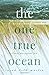 The One True Ocean by Martin, Sarah (2003) Paperback