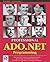 Professional ADO.NET Programming by Julian Skinner (2001-11-04)