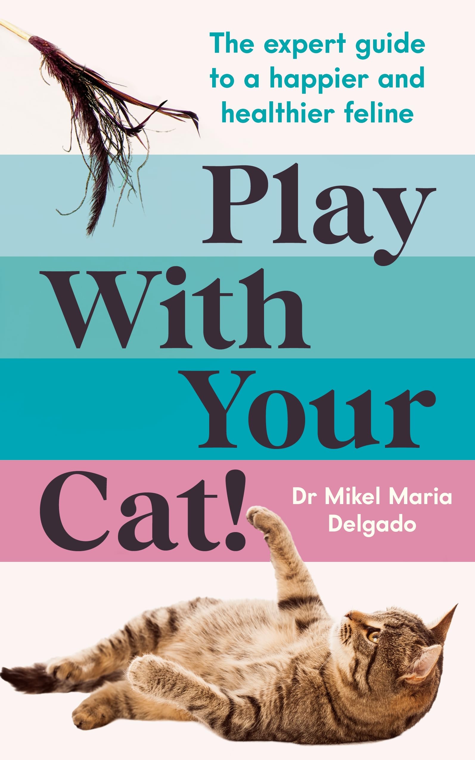 Play With Your Cat!: The expert guide to a happier and healthier feline (Kindle Edition)