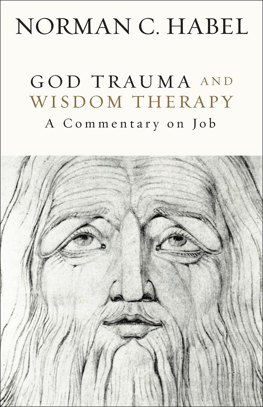 God Trauma and Wisdom Therapy: A Commentary on Job (Hardcover)