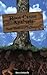 Root Cause Analysis: Basic Tools and Techniques by Robitaille, Denise (August 1, 2004) Paperback