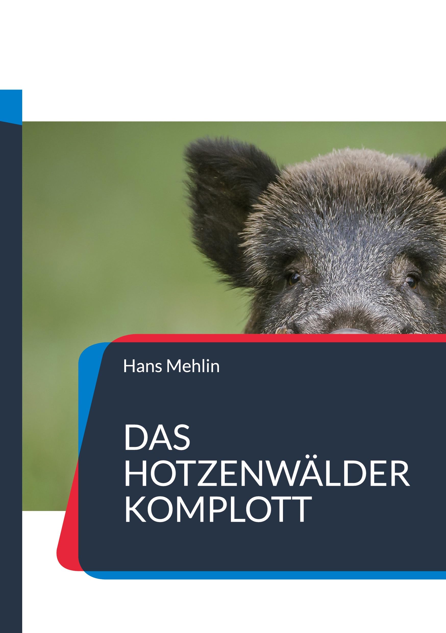 Das Hotzenwälder Komplott: Alemannisches Intermezzo (German Edition)