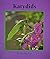 Katydids (Books for Young Learners) by Nic Bishop (1998-03-01)