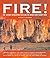 Fire! by Edward C. Goodman ...