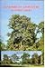 Hand Book on Silviculture of Indian Trees by S S Negi