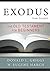 Exodus from Scratch: The Old Testament for Beginners (The Bible from Scratch) Paperback February 13, 2013