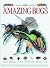 Amazing Bugs (Inside Guides) by Miranda MacQuitty (1996-09-01)