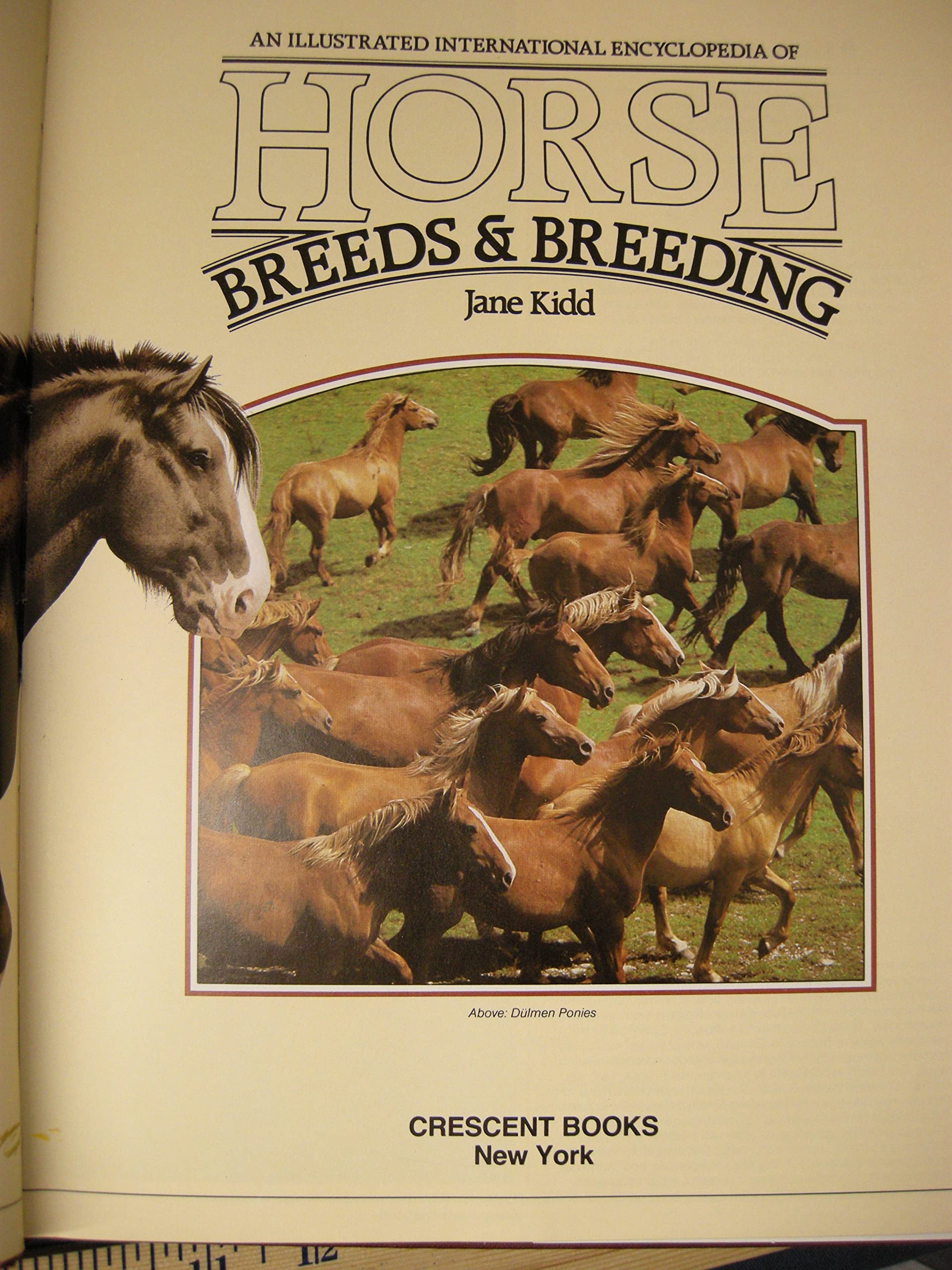 An Illustrated Intl Encyclopedia of Horse Breeds and Breeding (Hardcover)