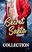 Secret Santa: A Pride Publi...