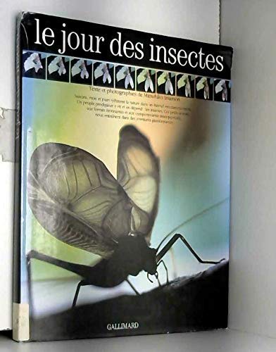 Le jour des insectes (HORS SERIE DOCUMENTAIRE JEUNESSE)