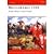Bannockburn 1314: Robert Br...