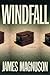 Windfall by Cronin (1998-09-02)