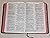 The Holy Bible Revised Standard Version