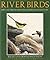 River Birds: Bird Life from...