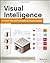 Visual Intelligence: Microsoft Tools and Techniques for Visualizing Data [Paperback] [2013] 1 Ed. Mark Stacey, Joe Salvatore, Adam Jorgensen