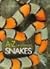 A Z of Keeping Snakes