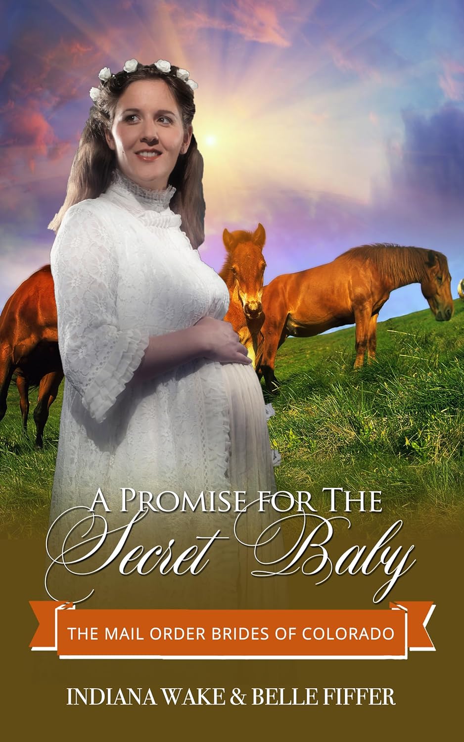 A Promise of Protection for the Secret Baby (The Mail Order Brides of Colorado #6)