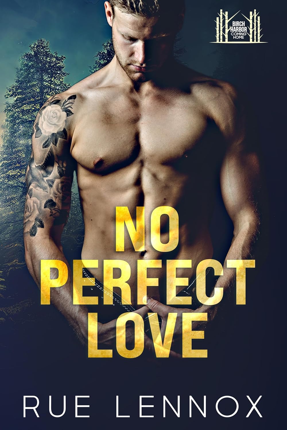 No Perfect Love (Birch Harbor: Coming Home)