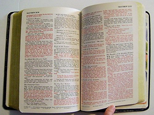 Holy Bible, New International Version