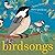 [ [ [ Birdsongs [ BIRDSONGS ] By Franco-Feeney, Betsy ( Author )Jan-09-2007 Hardcover