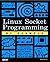 Linux Socket Programming by Example by Warren Gay (18-Apr-2000) Paperback
