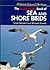 The Guinness book of sea and shore birds by Linda Bennett