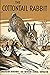 The cottontail rabbit