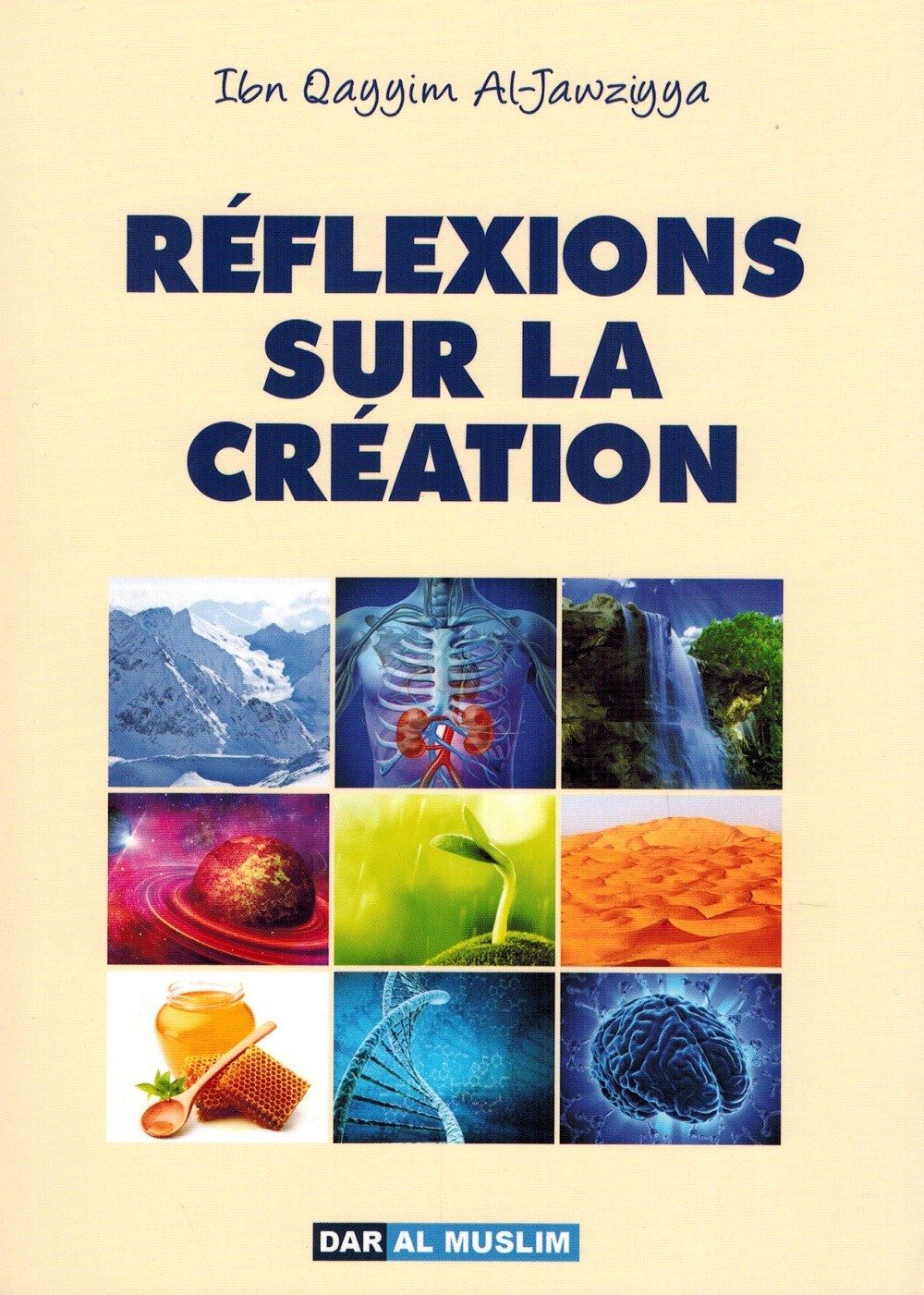 Réflexions sur la création (Paperback)
