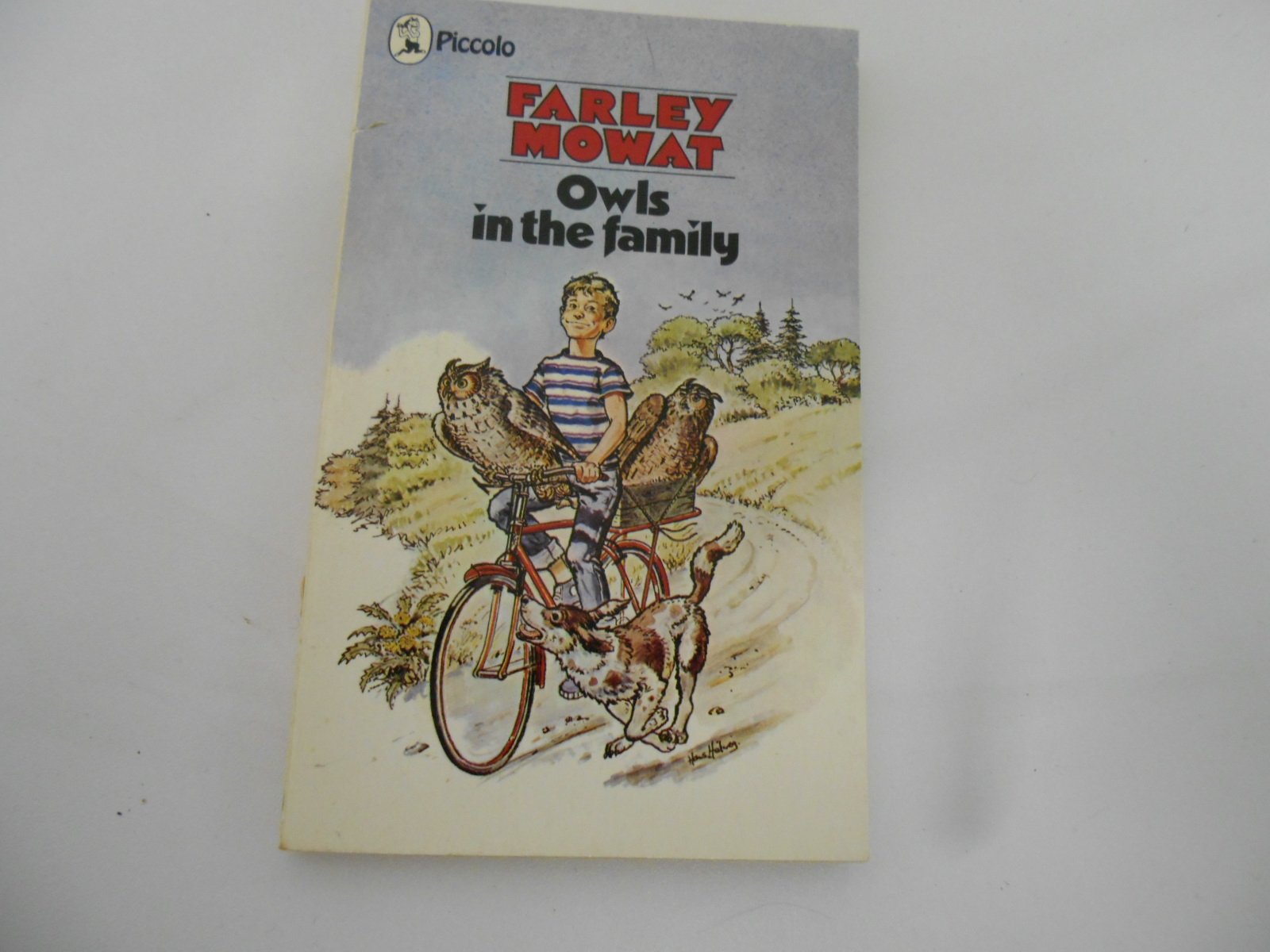 Owls in the Family