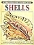 A Field Guide to Shells Coloring Book (Peterson Field Guide Coloring Books)