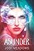 Asunder (Incarnate Trilogy) by Meadows, Jodi(January 29, 2013) Hardcover