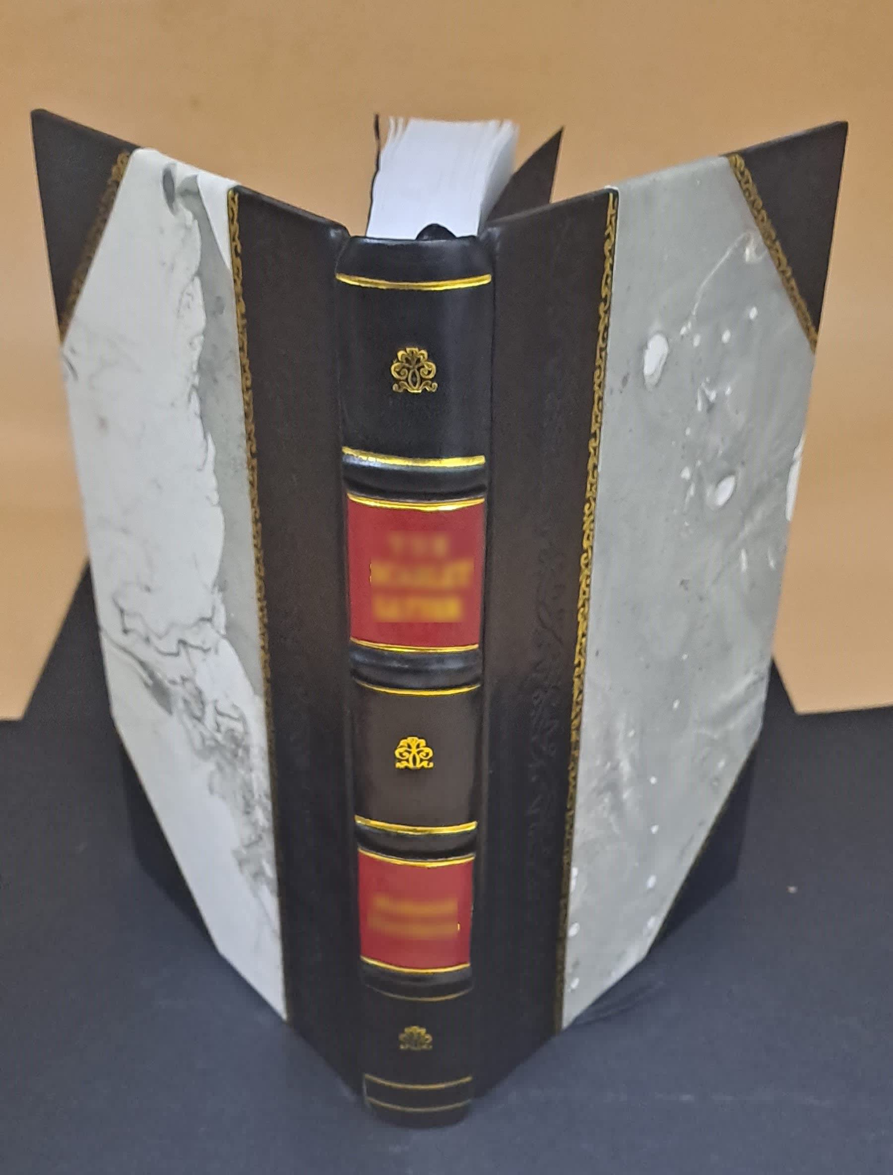 Per Lindeströms resa till Nya Sverige, 1653-1656, skildrad av honom själv i hans handskrift "Geographia Americæ eller Indiæ occidentalis beskrijffningh", med 27 illustrationer och 3 [Leather Bound] (Leather Bound)