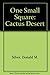 Cactus Desert (One Small Square) by Donald M. Silver (1995-05-01)
