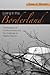 By Jerome S. Bernstein - Living in the Borderland: The Evolution of Consciousness and the Challenge of Healing Trauma: 1st (first) Edition
