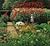 C.Z. Guest's 5 Seasons of Gardening by C.Z. Guest