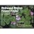 Redwood Region Flower Finder - A Guide to Identifying Wildflo... by Wats